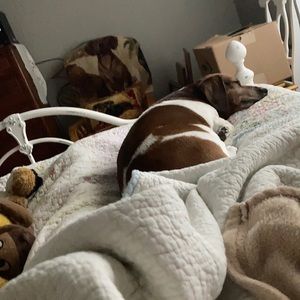 Meet your Posher, Nila